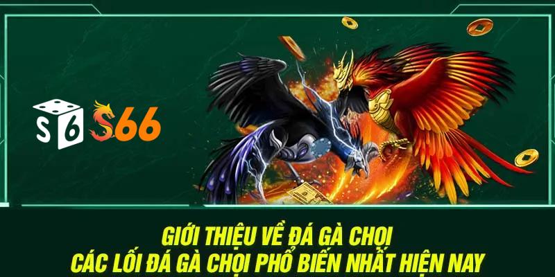 Giới thiệu về đá gà chọi