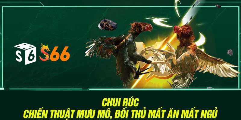 Chui rúc – Chiến thuật mưu mô, đối thủ mất ăn mất ngủ