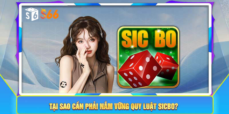 Tại sao cần phải nắm vững quy luật Sicbo?